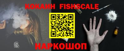 гашик Гай