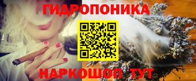 гашик Гай