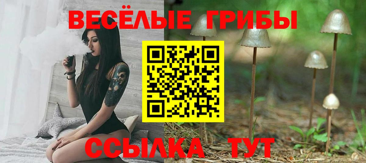 Трёхгорный  Галлюциногенные грибы Magic Shrooms  Вход с VPN 