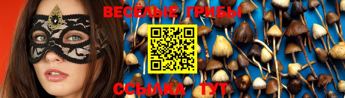 Псилоцибиновые грибы прущие грибы Трёхгорный